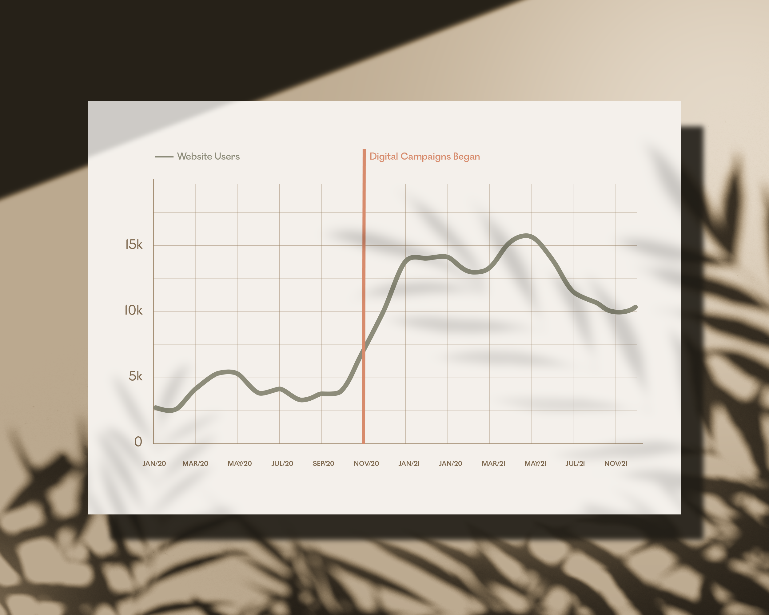 graph showing the increase in website users