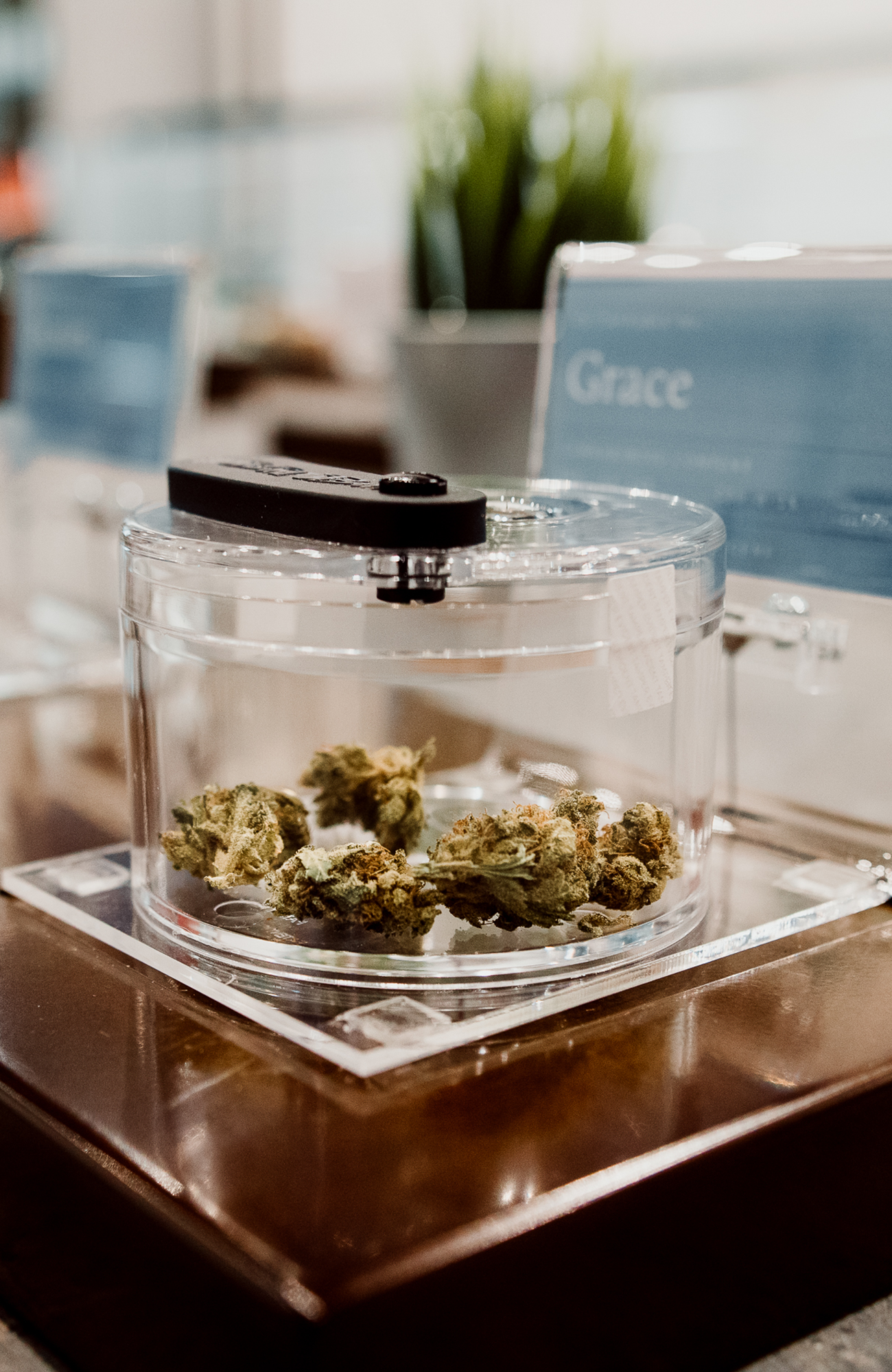 Cannabis at Spiritleaf