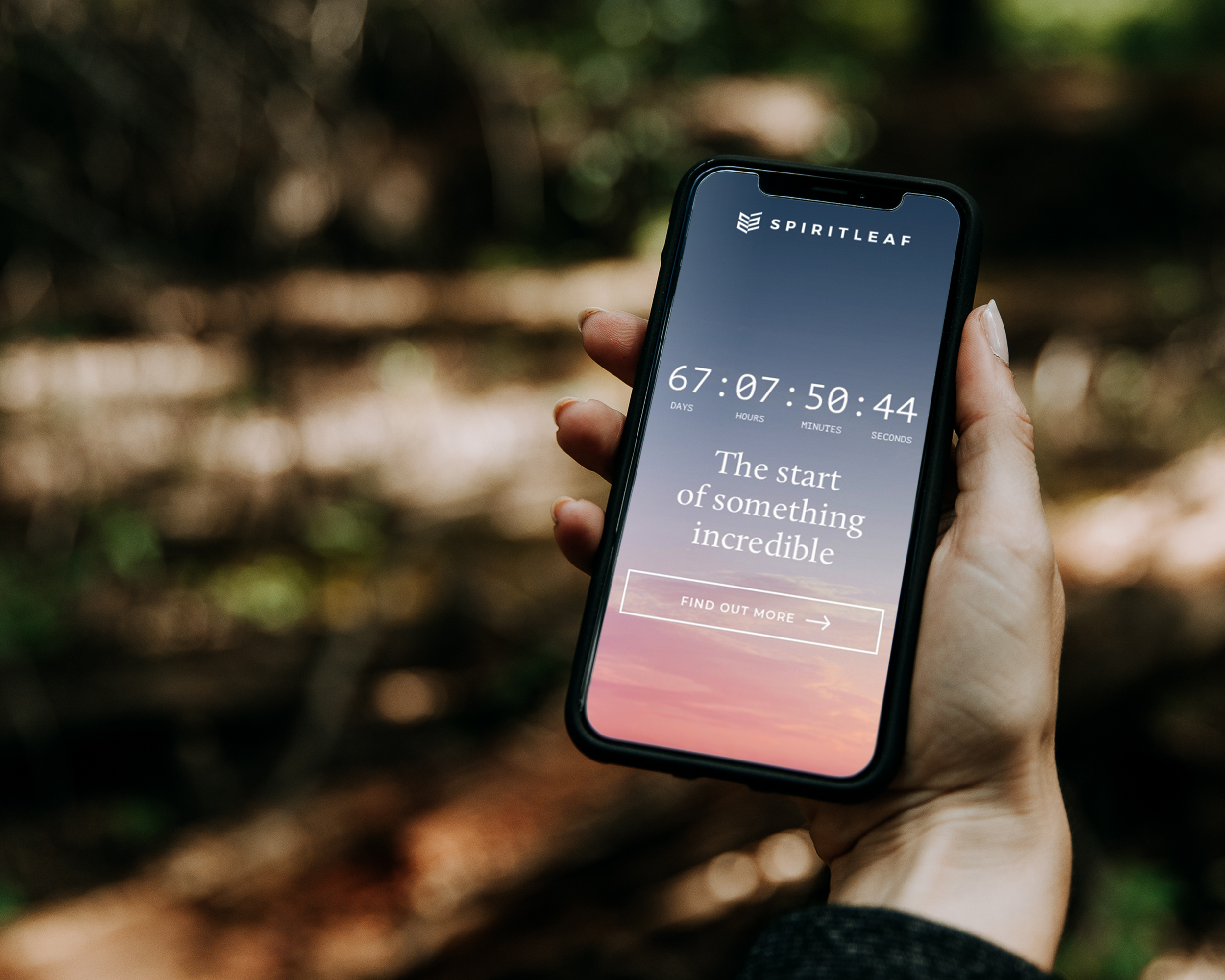 October 17th campaign website on phone