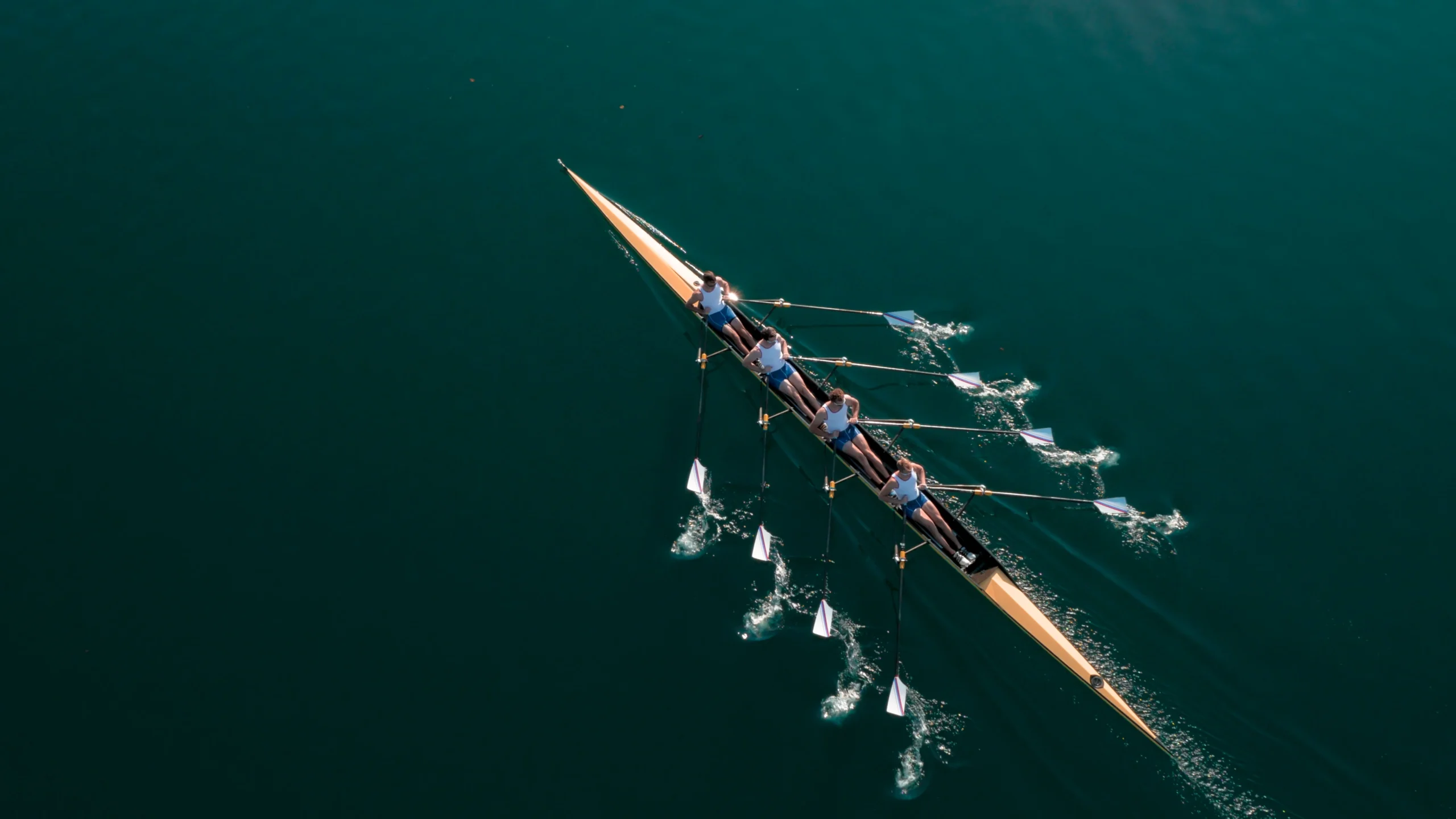 team of rowers in a boat